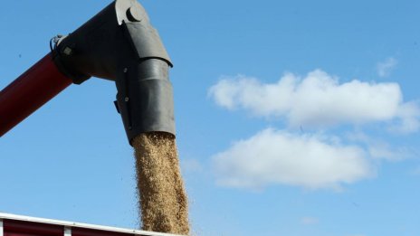 ЕС налага забранителни мита на вноса на зърно от Русия и Беларус