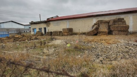 Ферми за криптовалута край Божурище - най-големите крадци на ток от ЧЕЗ