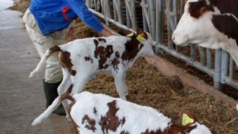 Гаранционният фонд в агроземеделието ще заработи от лятото на годината 