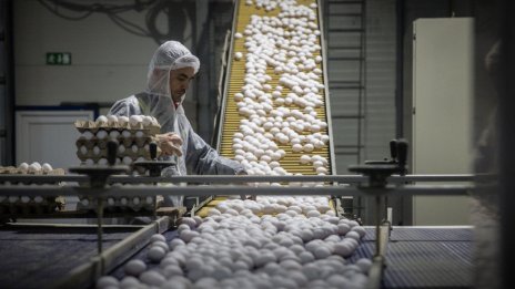 Кадър на деня за 1 март