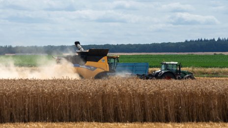 Продължават леките колебания при цените на зърнените култури