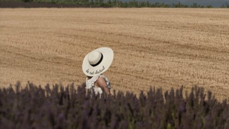 Аквапоника, вертикално земеделие &ndash; последни тенденции в агроикономиката 