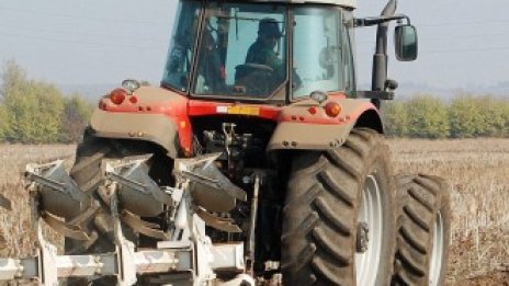 Засети са почти 10 милиона декара с пшеница