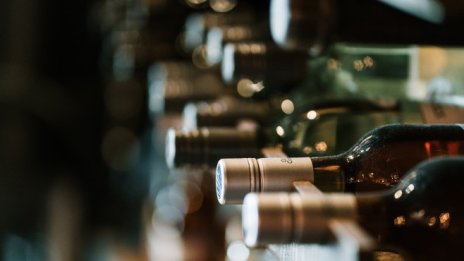 "Домейн Бойар": Можем ли да защитим "българското" и правото ни да бъдем БЪЛГАРИ?