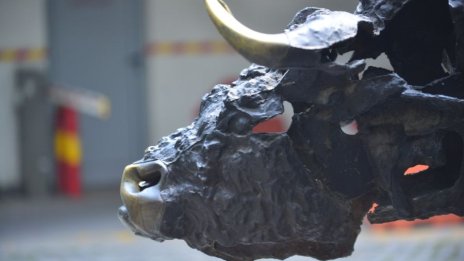 SOFIX приключи търговската сесия с ръст, но записа седмично понижение