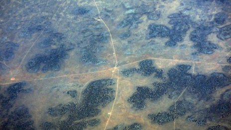 Ел Ниньо може да доведе до загуби за милиарди долари