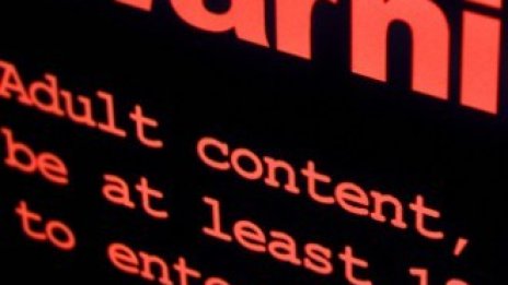 Стартира продажбата на еротичния домейн 