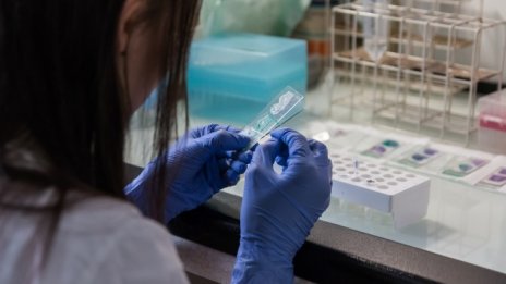 М. Василева: Медицински сестри и фелдшери няма да отнемат права от лекари