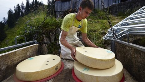 Промените, които очаква млечният сектор