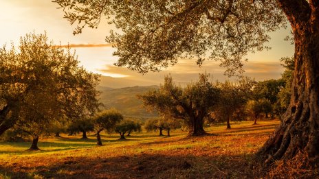 Европарламентът прие ново увеличение на целите за въглеродните емисии в земеделието