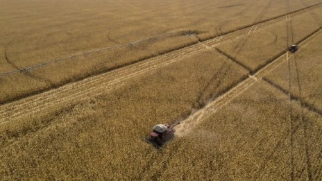 Нетният износ на аграрни стоки от България расте с 32% през първото полугодие