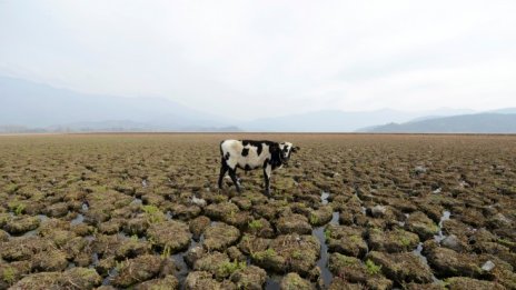 ООН: Емисиите на парникови газове достигат рекордни нива през 2018 г.