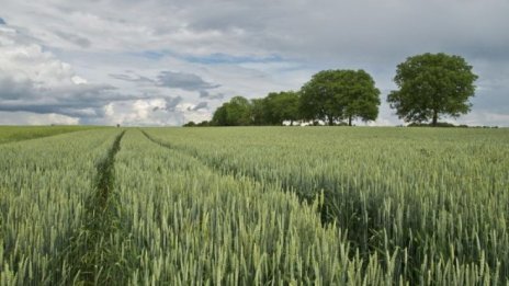 „Адванс Терафонд“ е купило земя за рекордните 1280 лева средно на дка