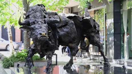 Акция на седмицата: „Софарма“ АД