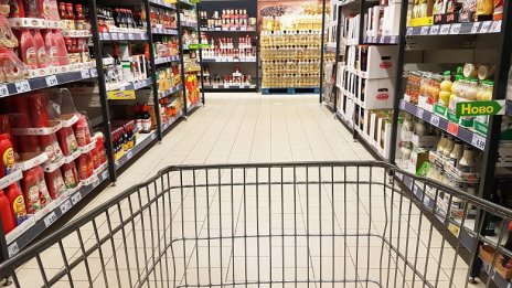 Икономист: Минималната заплата у нас е два пъти по-ниска от средствата за издръжката на живот