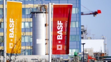 BASF реже 2000 места в администрацията