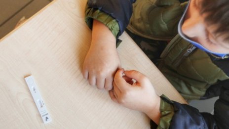 МОН: Ако има тестове за всички ученици, можем да върнем в клас и големите