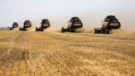 Новосъздадена компания стана най-големият руски износител на пшеница