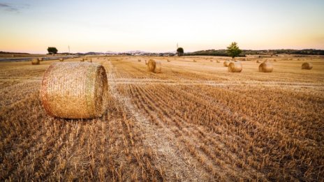 Графика на деня: Ефектите на климатичните промени върху икономиката