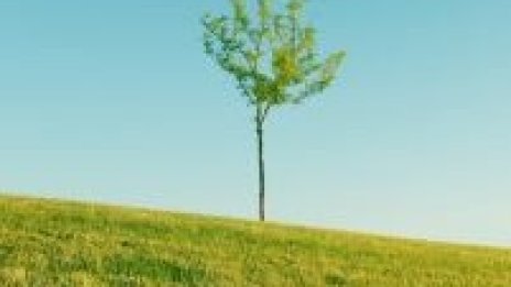 Земята – единственият актив от пазара на имоти у нас, който расте в кризата