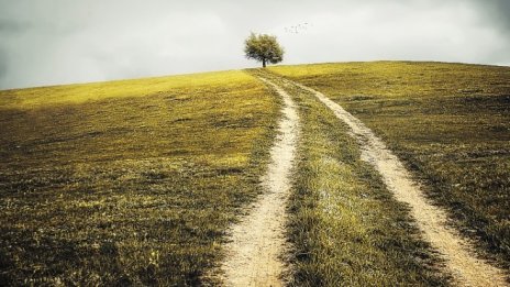 Фермерите получиха 450 млн. лв. зелени плащания