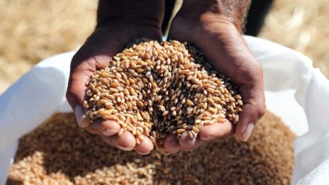 Няма кой да превози зърното от украинските пристанища