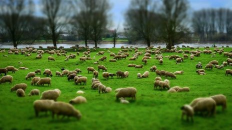 Симеон Караколев: Аграрна камара ще защитава по-добре интереса на българския фермер
