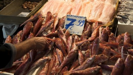 Калмарите донесоха инфлация в Гърция