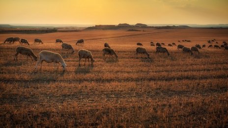 Парламентарната земеделска комисия променя експресно закона за земите