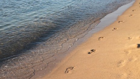 Премахнати са още 50 незаконни магазина на алеята на плаж „Слънчев бряг-север“