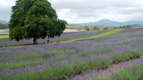 Стайко Стайков: Предстои отрезвяване на пазара на земеделска земя