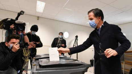 Партията на Марк Рюте води на парламентарните избори в Нидерландия