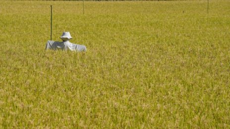 САЩ и Европа да се готвят за нова съпротива от Ердоган