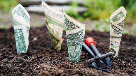 АДФИ откри нарушения в близо 40% от обществените поръчки за 2016 г. 