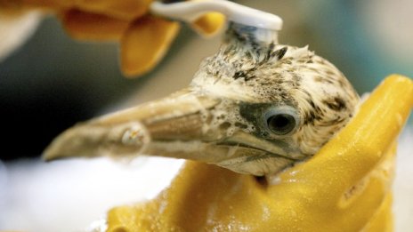 BP плаща 19 млрд. долара по споразумение за разлива в Мексиканския залив