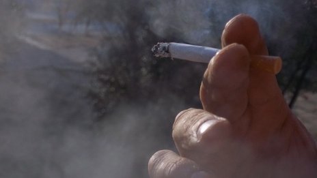 Асоциация иска разрешение за пушене в заведения срещу такса