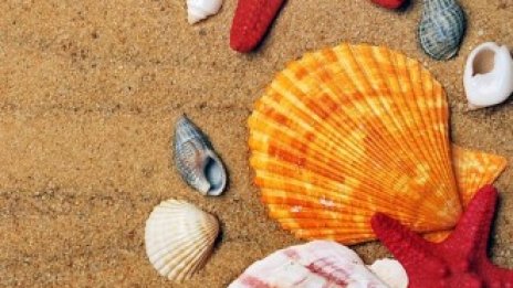 Жителите на коя европейска страна ще похарчат най-много за лятна ваканция?