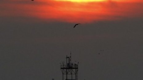 Цената на петрола загуби 2,6% след неуспешен опит за възстановяване