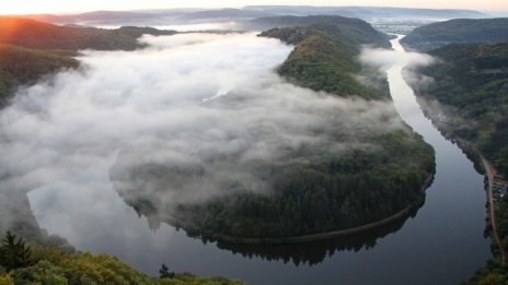 WWF: България може лесно да преодолее проблема с вредните емисии