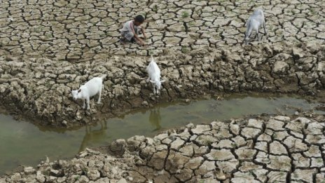 Глобалното затопляне - бомба със закъснител за икономиката
