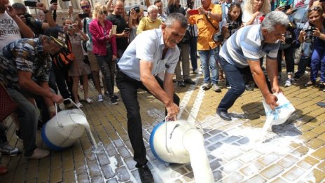 Отлага се планираната за днес евтаназия на животни заради чумата