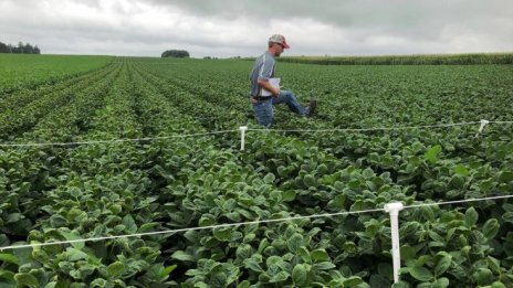 Една четвърт от пестицидите в САЩ са забранени в Европа