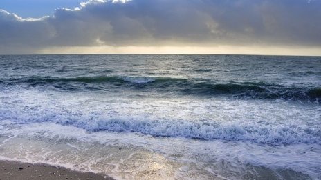 Възползваха ли се туристическите компании от „непредвиденото“ търсене?