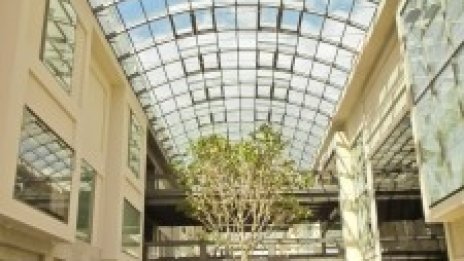 Специалист: Моловете не са мъртви