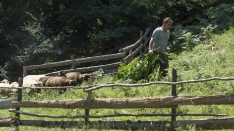 Гръцко или българско агне ще ядем по Великден?