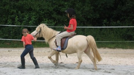 Пет организации са против преместването на конната база от Борисовата градина