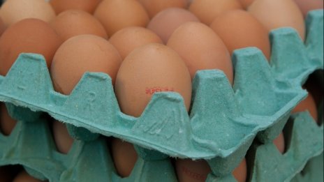 Откриха втора партида заразен с фипронил яйчен прах