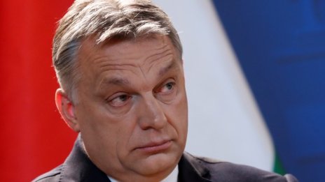 Унгарски журналист: Идеята на Виктор Орбан е да изкара „Фидес“ от ЕНП