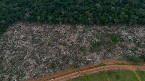 Как ЕС може да набрави по-ефективен своя закон за борба с обезлесяването?