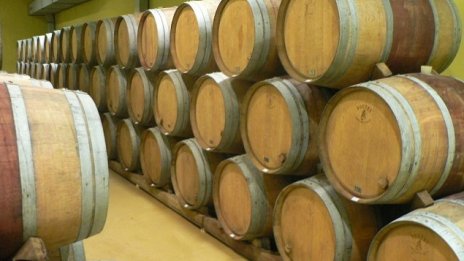 Започва прием на заявления по новата мярка за инвестиции във винарските изби